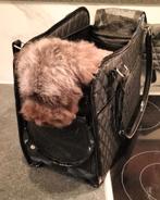 Honden handtas nieuw, Ophalen, Zo goed als nieuw