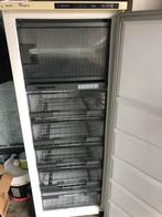 Diepvries, Elektronische apparatuur, Vriezers en Diepvrieskisten, Ophalen, Gebruikt, Minder dan 60 cm, 140 tot 160 cm