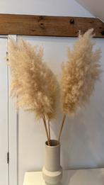 Decoratieve pampa grassen, Maison & Meubles, Accessoires pour la Maison | Fleurs séchées, Enlèvement, Neuf
