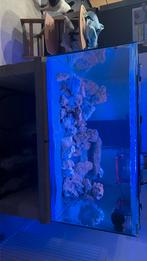 Aquarium, Enlèvement ou Envoi