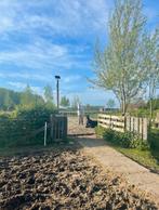 Plekje vrij op Paddock Paradise Oosterzele, Dieren en Toebehoren