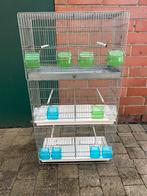 Kweekkooien, Ophalen, Gebruikt