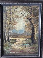 tableau huile artiste THEUNISSEN encadré beau cadre bois, Enlèvement