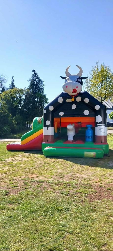 Springkasteel Frozen,Koe of Piraat te huur, Hobby & Loisirs créatifs, Articles de fête | Location, Enlèvement