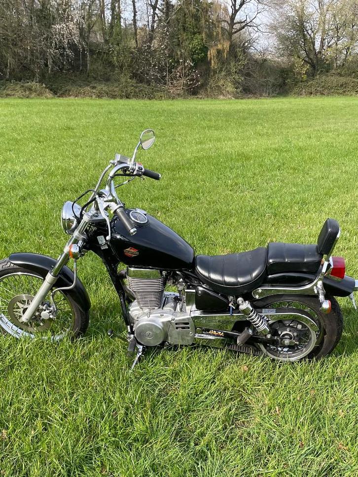 Suzuki LS 650 Savage, Motos, Motos | Suzuki, Particulier, Chopper, plus de 35 kW, 1 cylindre, Permis Moto A2 minimum, Enlèvement