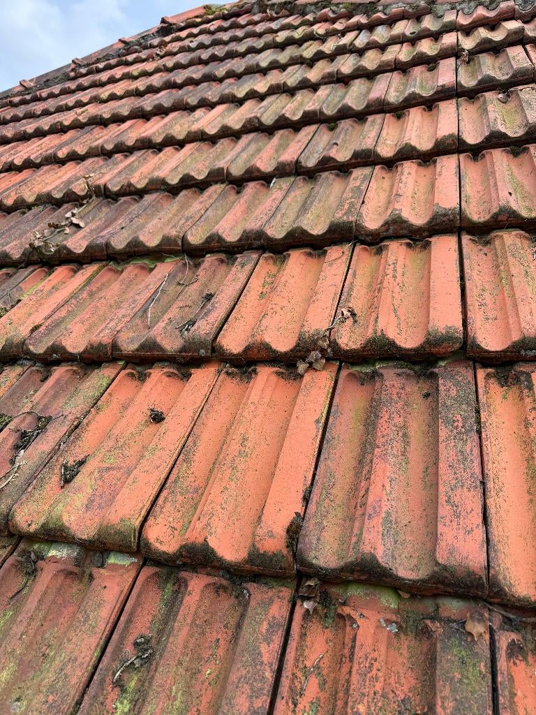 Gratis - partij dakpannen en nokpannen., Doe-het-zelf en Bouw, Dakpannen en Dakbedekking, Ophalen, Gebruikt, Steen of Klei, Dakpannen