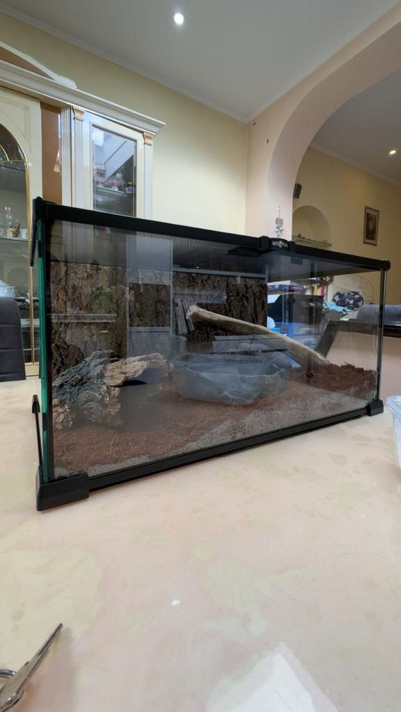 Serpent + terrarium, Enlèvement, Éclairage