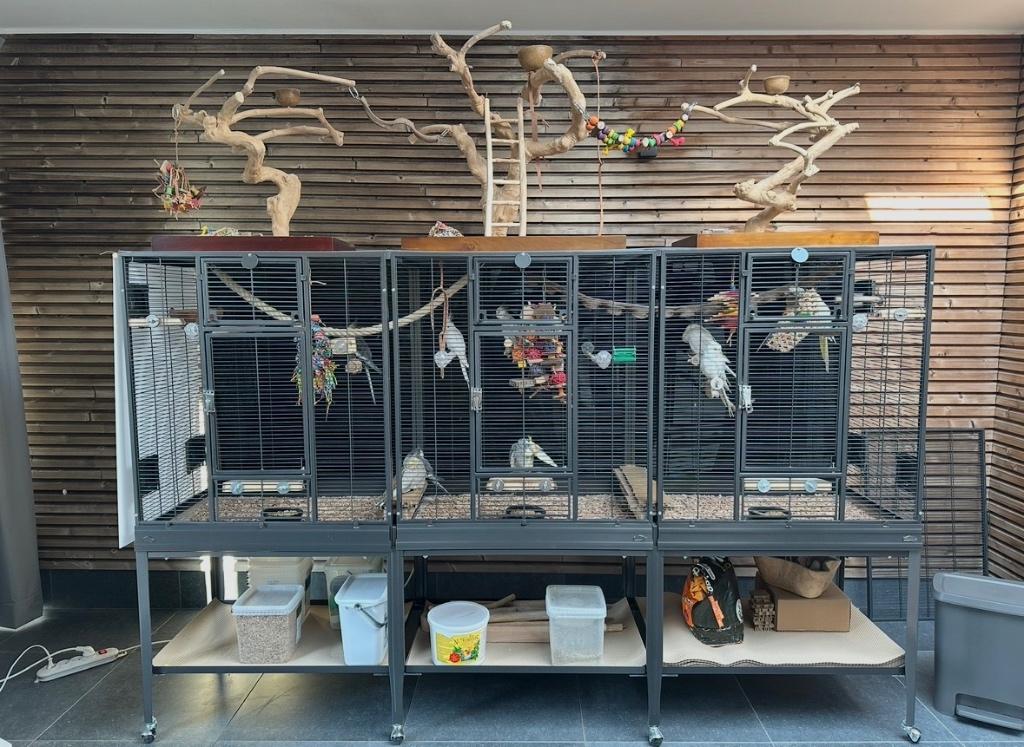 Montana Madeira Triple (Double + Aanbouwkit) - Topstaat!, Ophalen, Zo goed als nieuw, Metaal, Vogelkooi