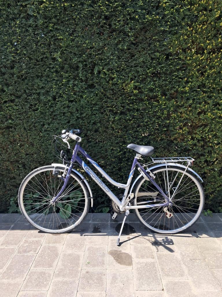 Vélo dame, Enlèvement