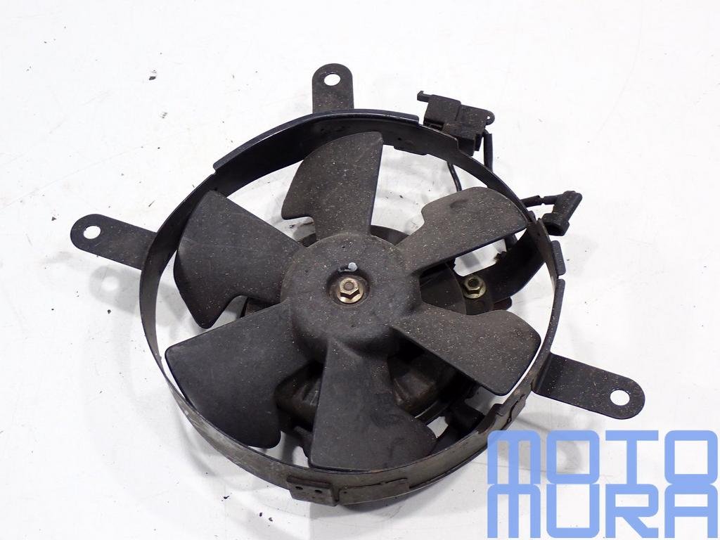 Koelvin voor de Honda CBR 929 RR 2000 - 2001 Fireblade SC44, Motoren, Onderdelen | Honda, Gebruikt, -, -, Ophalen of Verzenden