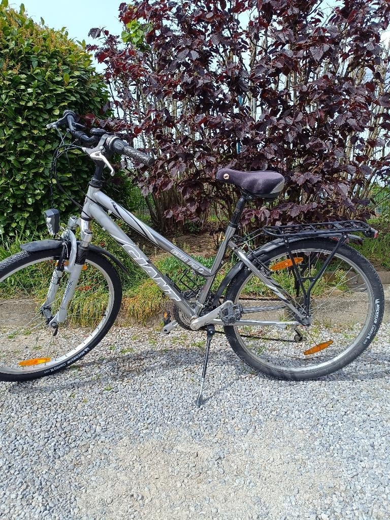 Giant gsr fs, Ophalen, Gebruikt, Velgrem, Versnellingen