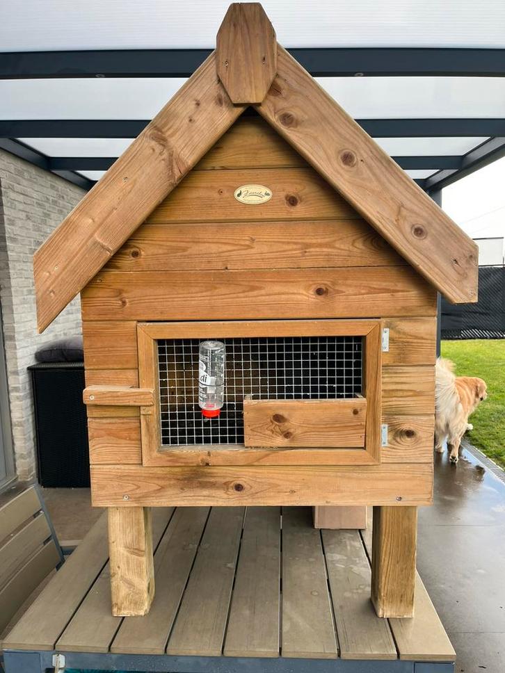 Konijnenhok, Dieren en Toebehoren, Konijnen