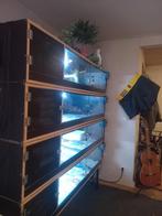 4x terrarium betonplex 1.60lang 60 diep 35 hoog 700euro, Animaux & Accessoires, Enlèvement