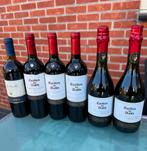 6 Wijn flesjes, Valpolicella, Casillero del Diablo 30 euro, Ophalen, Zo goed als nieuw