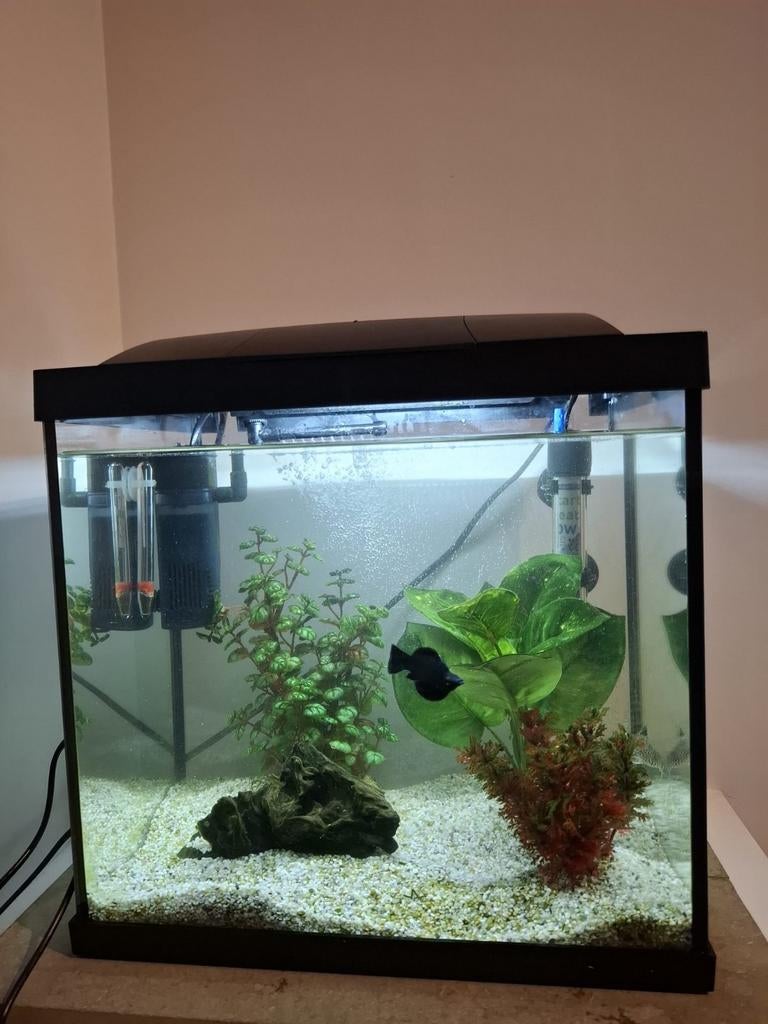Superfish aquarium 30l, Ophalen