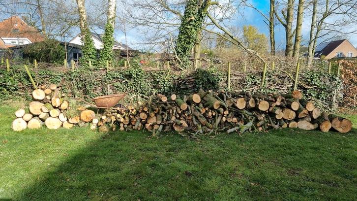 Eik en wilgenhout, Tuin en Terras, Brandhout, Ophalen