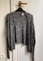 grijs vestje H&M S, kan zeker ook voor een XS, H&M, Ophalen of Verzenden, Maat 36 (S), Grijs