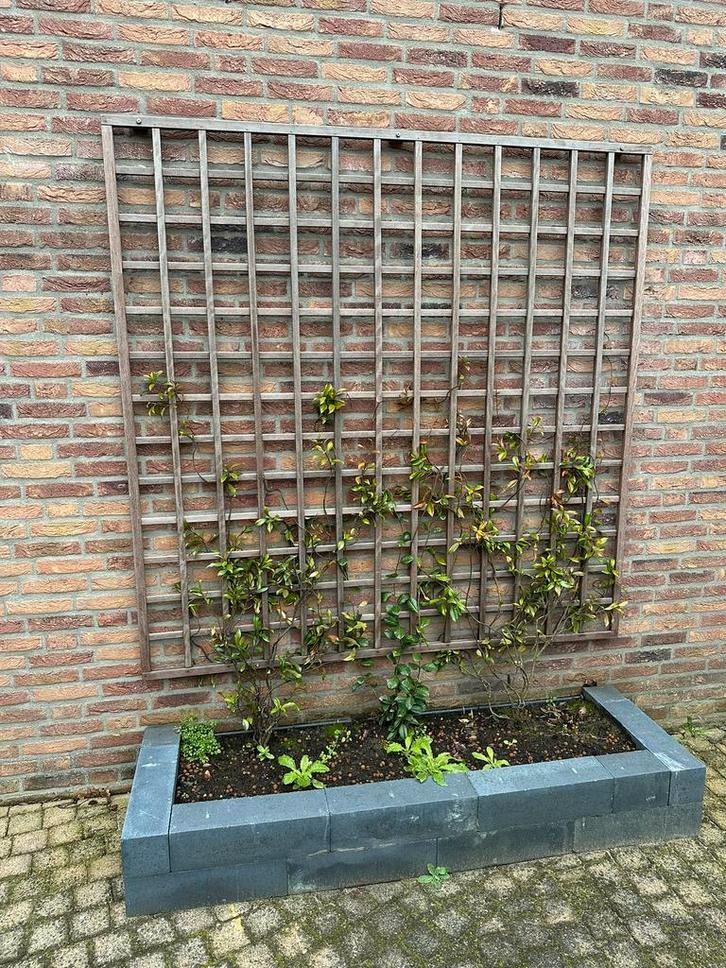 Klimplantroosters, Tuin en Terras, Schuttingen, Zo goed als nieuw, Ophalen