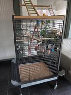 Grote vogelkooi ( papegaai ), Enlèvement ou Envoi, Comme neuf, Cage à oiseaux