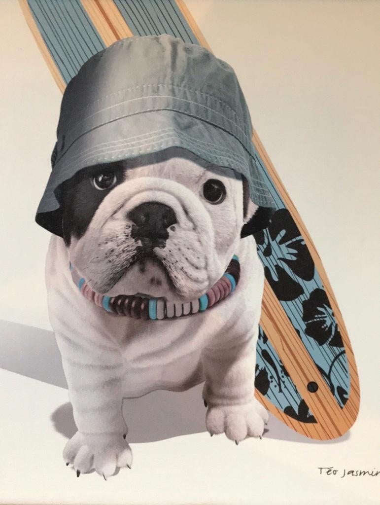 Frame: Franse bulldog-surfer, Ophalen, Zo goed als nieuw