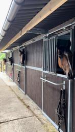 Volledige privéstalling te huur in Schilde Antwerpen, Dieren en Toebehoren, Stalling en Weidegang, Stalling