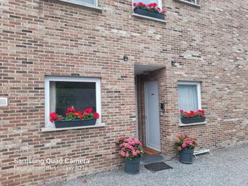 960,50€/ pmnd- 3 slpkamers appartement te huur - vrij  beschikbaar voor biedingen