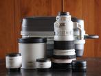 Canon EF 300mm F/2.8, Ophalen, Zo goed als nieuw, Telelens