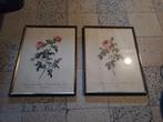 2 schilderijen van bloemen met kader, Huis en Inrichting, Woonaccessoires | Lijsten, Ophalen
