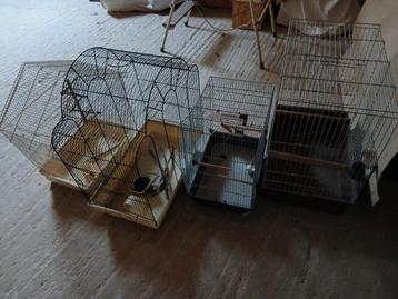 Vogelkooien  beschikbaar voor biedingen