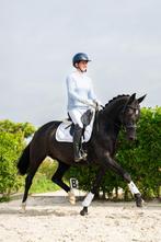 Mega knappe drachtige Elite IBOP dressuurmerrie, Dieren en Toebehoren, Paarden, Merrie, Gechipt, Dressuurpaard, L