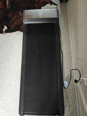 Walking pad/ wandelband. beschikbaar voor biedingen