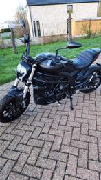 BENELLI 502 C, 4300 km, 04/2021, Motoren, 500 cc, Sport, Particulier