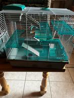 Cage pour rongeurs, Animaux & Accessoires, Rongeurs & Lapins | Cages & Clapiers, Moins de 60 cm, Cage, Utilisé, Rat
