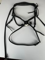 Hoofdstel, Dieren en Toebehoren, Ophalen of Verzenden, Nieuw