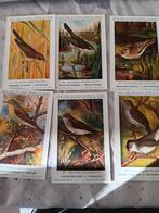 Postkaarten vogels der Belgische fauna, Ophalen