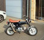 Skyteam Dax 50cc klasse b, Fietsen en Brommers, Ophalen, Nieuw