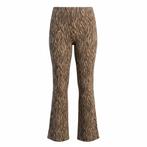 ✨️My JE Wellery Limited Broek Maat XS - BUNDELKORTING‼️✨️, Kleding | Dames, Bruin, Ophalen of Verzenden, Zo goed als nieuw, Maat 34 (XS) of kleiner