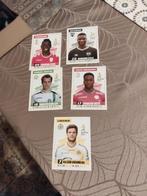 Panini / 5 Stickers / Pro League 2017, Verzamelen, Sportartikelen en Voetbal, Ophalen of Verzenden, Nieuw, Poster, Plaatje of Sticker