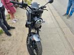 benelli leoncino 125cc juni 2023, Motoren, Motoren | Benelli, Particulier