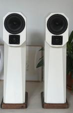 Rauna Leira Sweden haut-parleur audiophiles, TV, Hi-fi & Vidéo, Enceintes, Enlèvement, Comme neuf