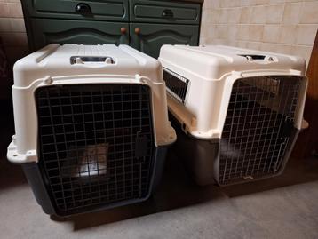 AniOne Wild Variety transportbox M-L (groot/vliegtuig)  beschikbaar voor biedingen