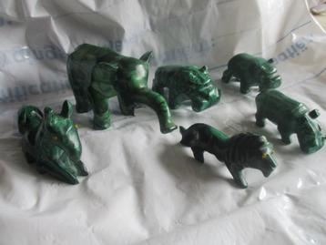 6 Malagieten dieren beschikbaar voor biedingen