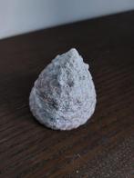 West-Indische slak, Ophalen of Verzenden