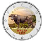 2 euro Malta 2025 Maltese Os gekleurd, Ophalen of Verzenden, Malta, 2 euro