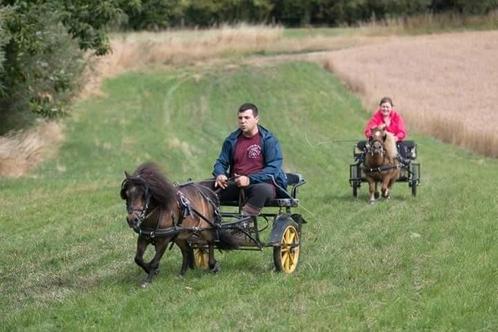 Voiture d'attelage, charrette, taille shetland adaptable, Animaux & Accessoires, Chevaux & Poneys | Autres trucs de cheval, Enlèvement