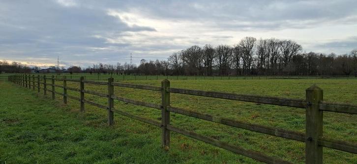 Mooi omheinde weide met schuilhok te huur, Dieren en Toebehoren, Stalling en Weidegang, Stalling, Weidegang, 4 paarden of pony's of meer