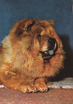 CHOW-CHOW    + Mooie postzegel !, Verzenden, 1960 tot 1980, Gelopen, Hond of Kat