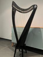 Salvi harp 34 snaren zwart, Muziek en Instrumenten, Ophalen, Gebruikt
