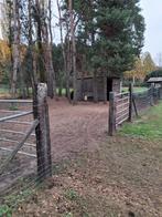 Weide met stalling en ruime paddock en buitenpiste, Stalling