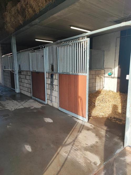 Stal te huur, Dieren en Toebehoren, Stalling en Weidegang, Stalling